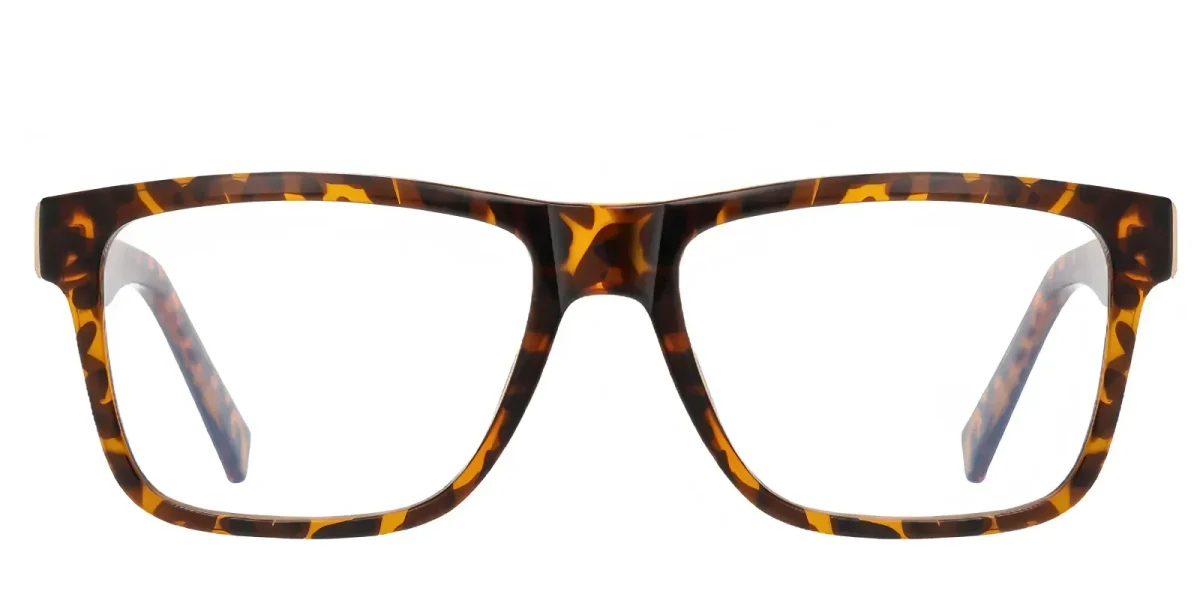 PF2100 Hawksbill Glasses 0