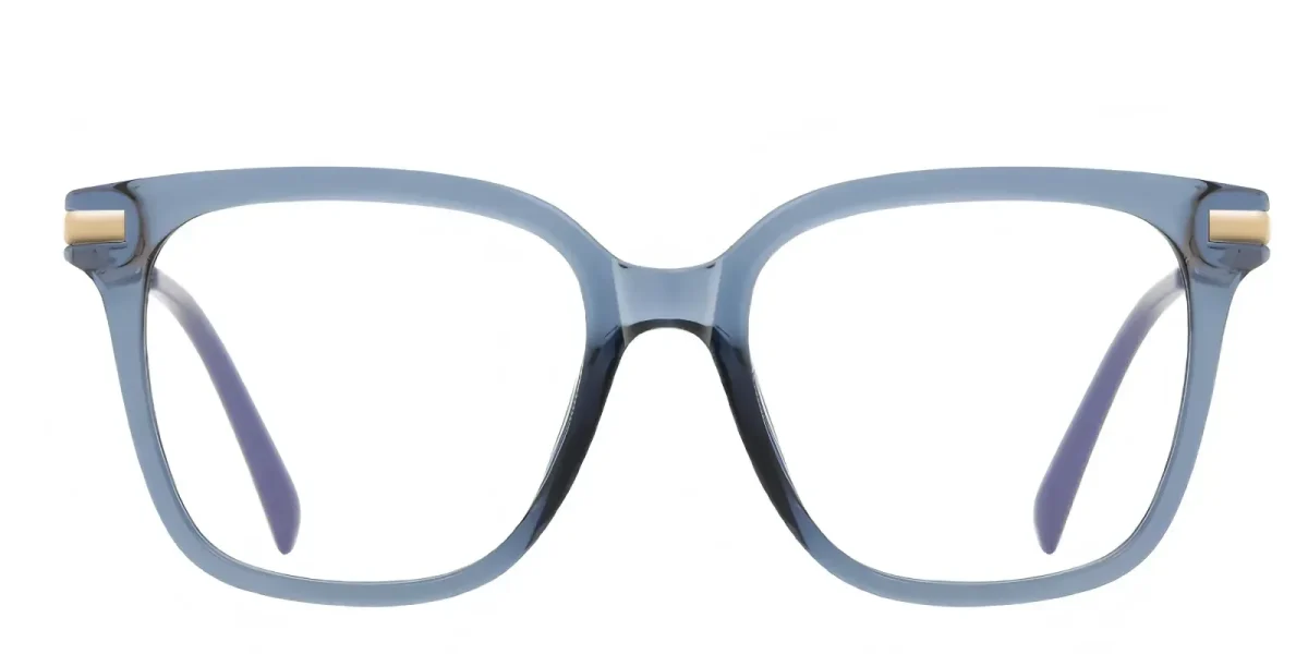 PF2129 Bule Glasses 0