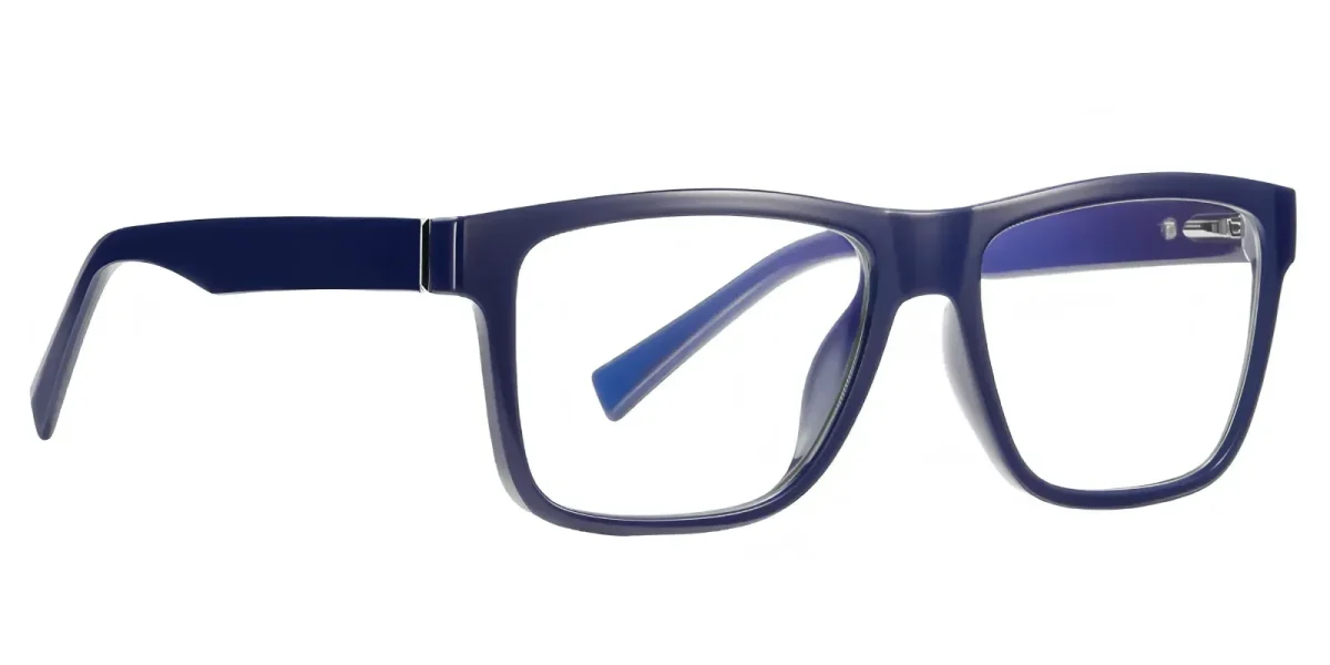 PF2100 Dark-Blue Glasses 2