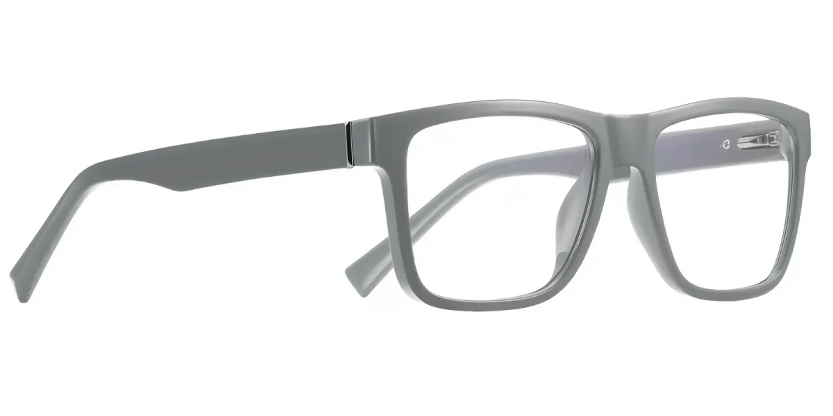 PF2100 Gray Glasses 2