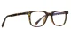 PF2119 Hawksbill Glasses 2