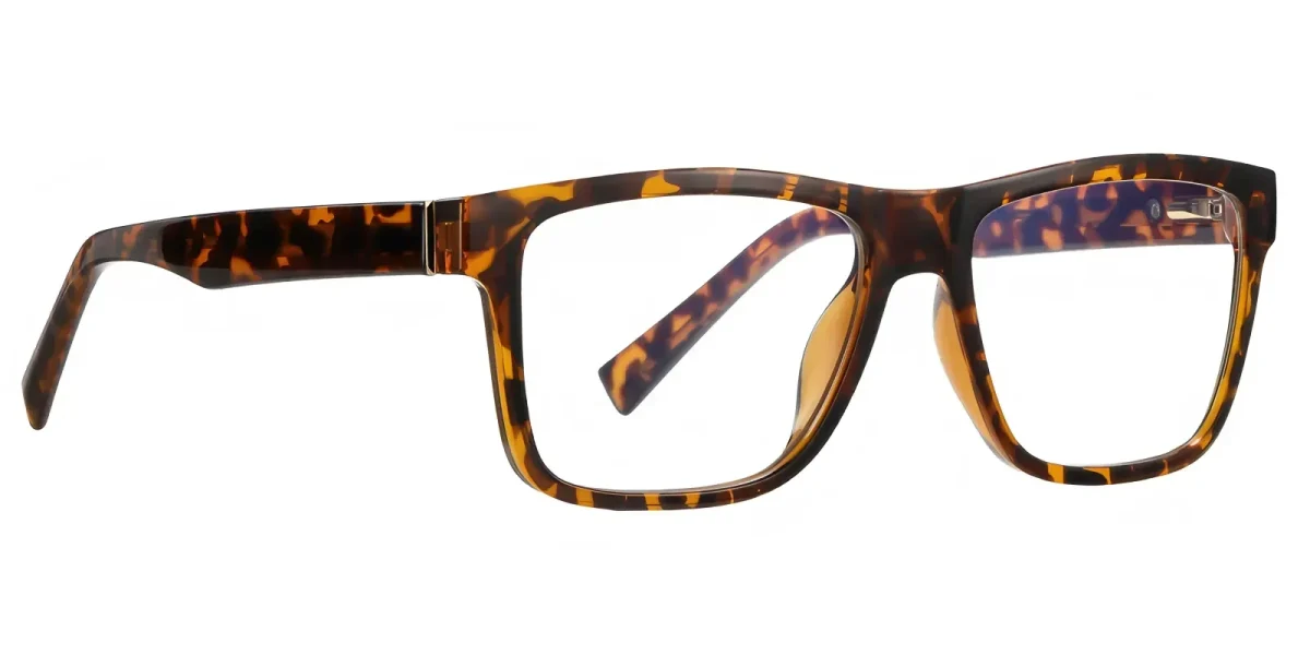 PF2100 Hawksbill Glasses 2