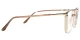 Fredia Brown Glasses 2