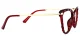 Declan Red Glasses 2