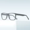 PF2100 Gray Glasses 4