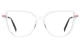 PF2210 Transparent glasses