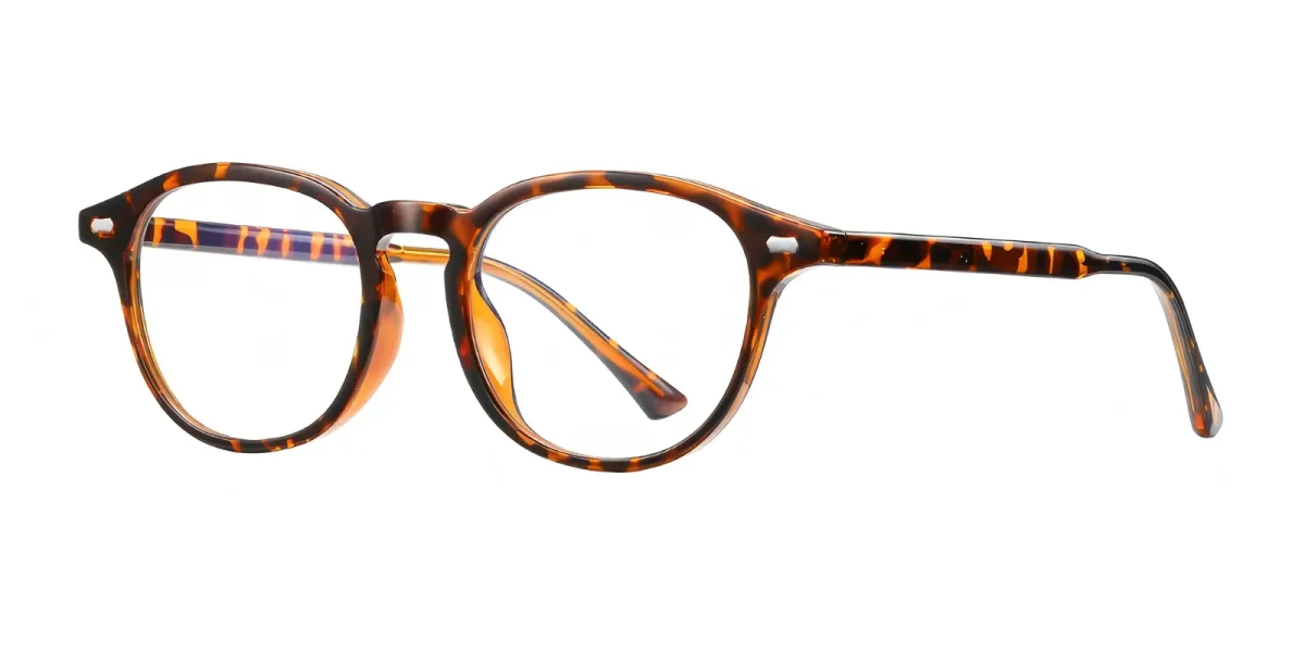 PF5004 Hawksbill Glasses 1