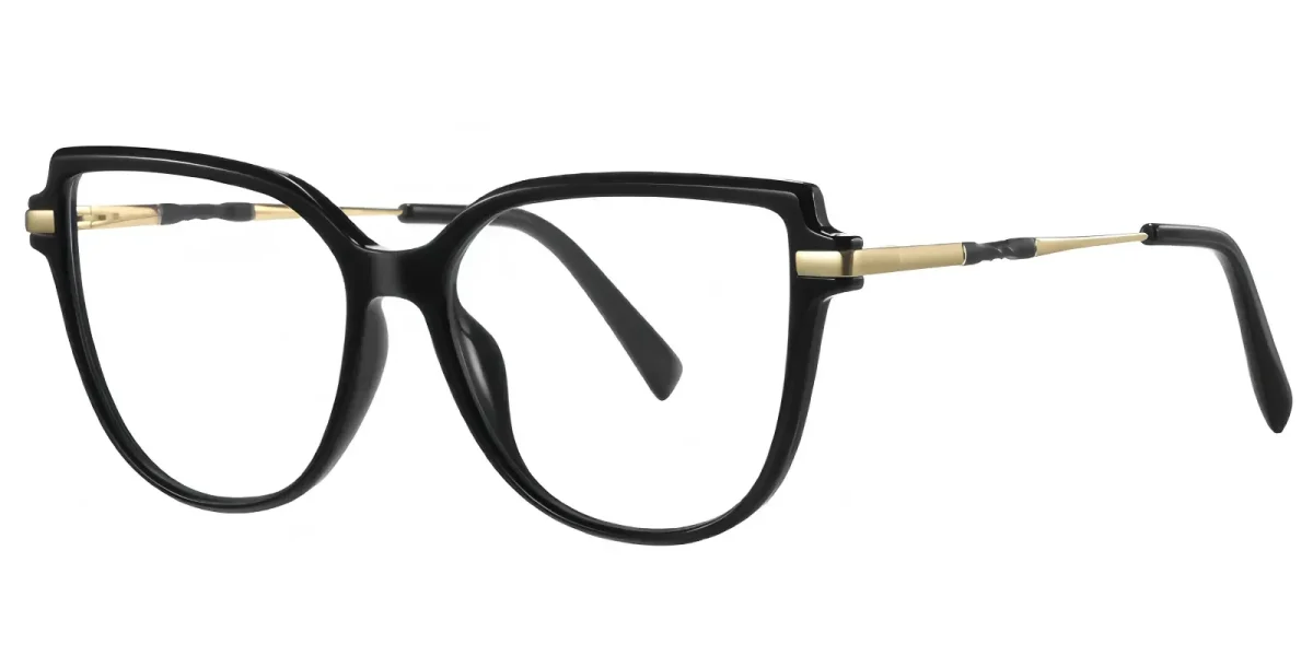 PF2210 Black Glasses 1