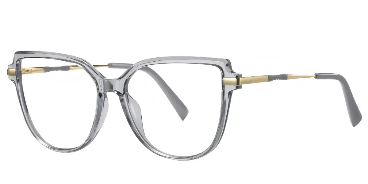 PF2210 Grey Glasses 1