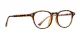 PF5004 Hawksbill Glasses 2