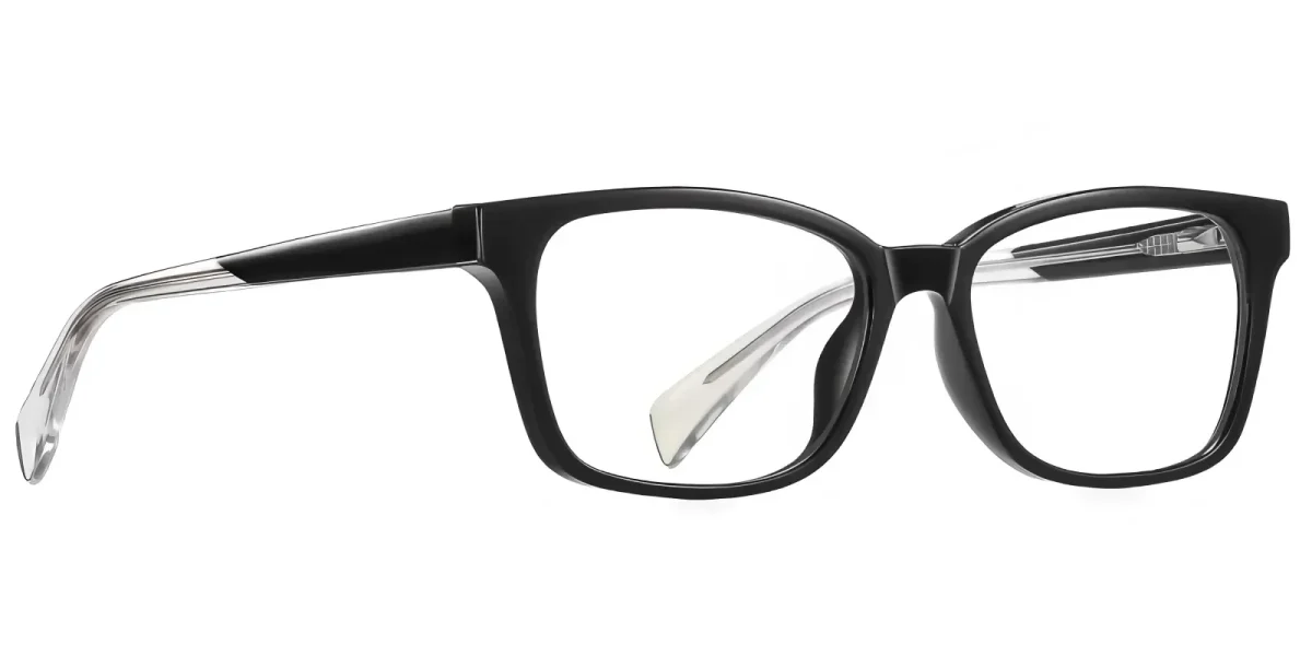 Fenn Black Glasses 2