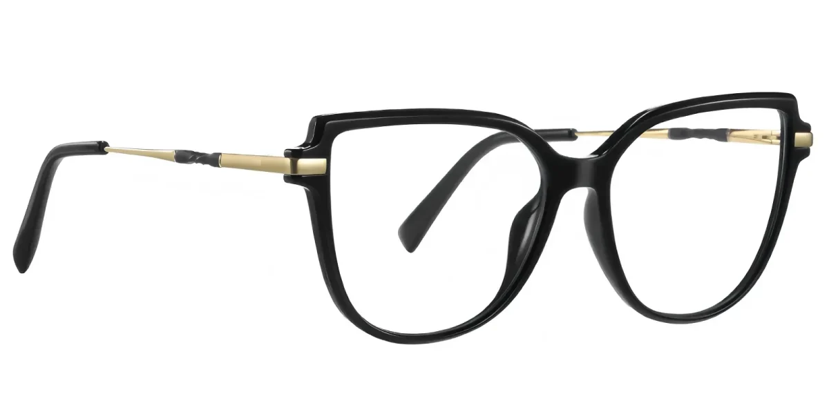 PF2210 Black Glasses 2