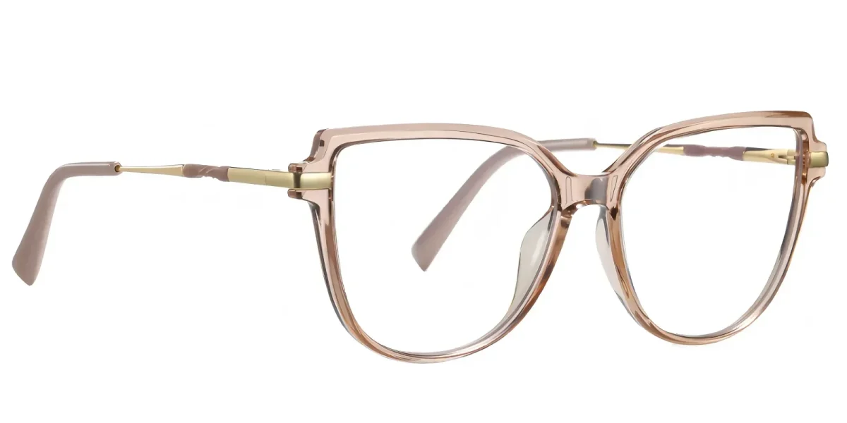 PF2210 Brown Glasses 2