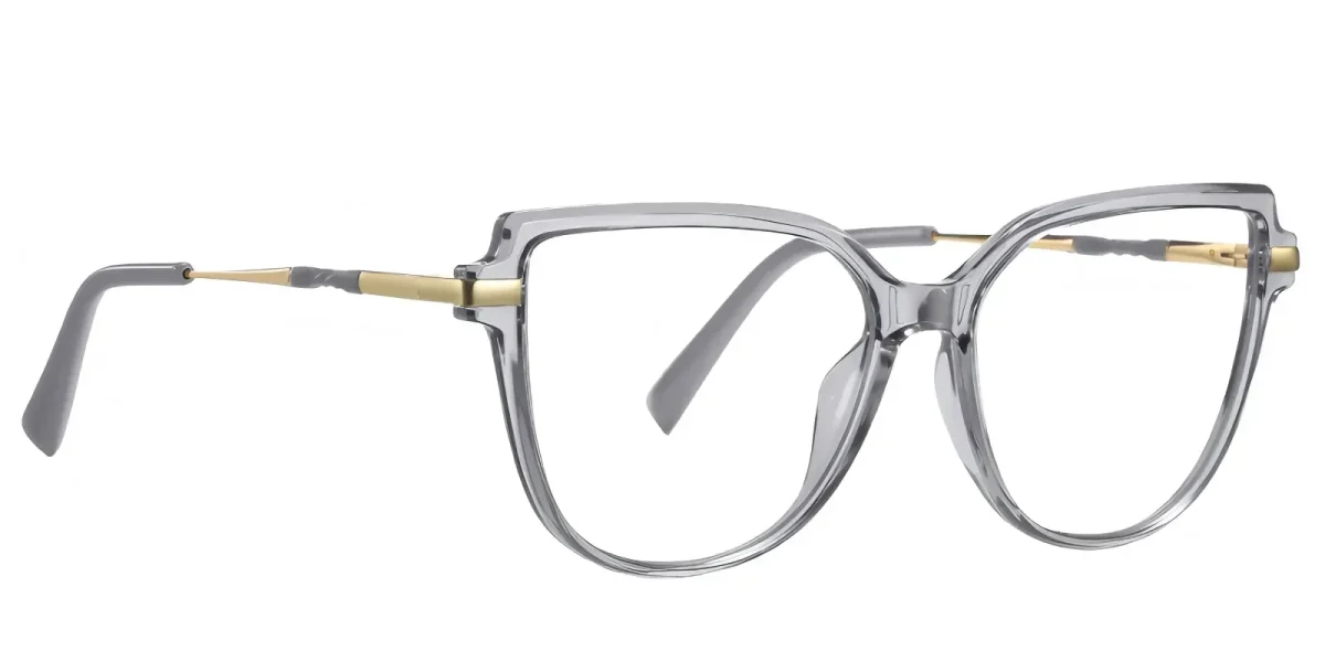 PF2210 Grey Glasses 2