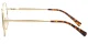 PF3050 Gold Glasses 3