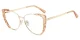 XY8024 Gold, Orange Glasses 1
