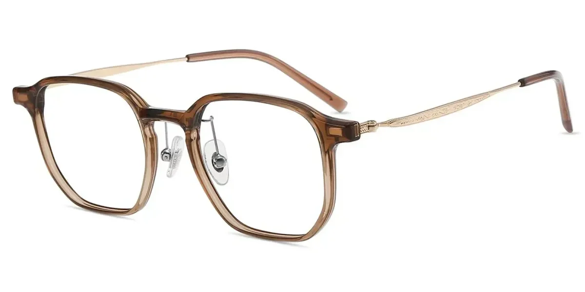 XY8036 Brown, Clear Glasses 1