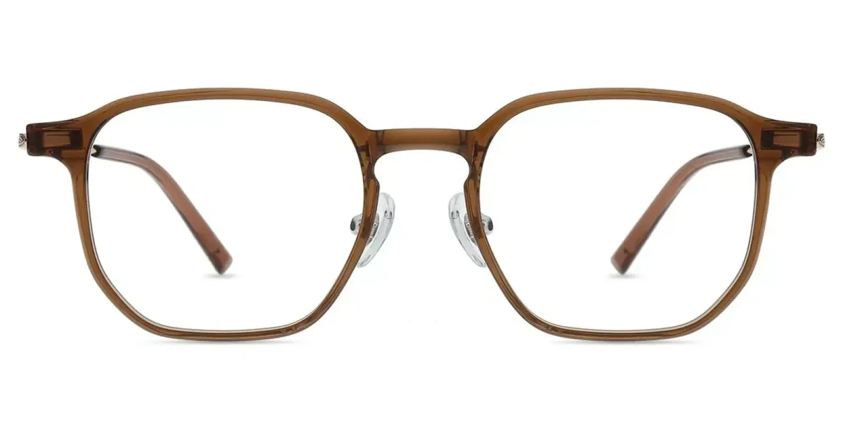 XY8036 Brown, Clear Glasses 2