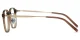 XY8036 Brown, Clear Glasses 3