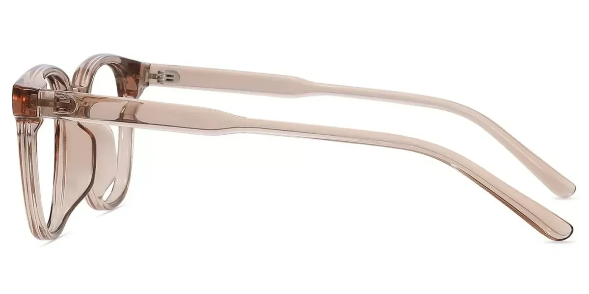 XY8048  Brown Glasses 3