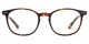 xy8009 Tortoise Glasses 1