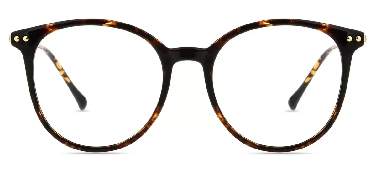 XY8028 Tortoise Glasses 1