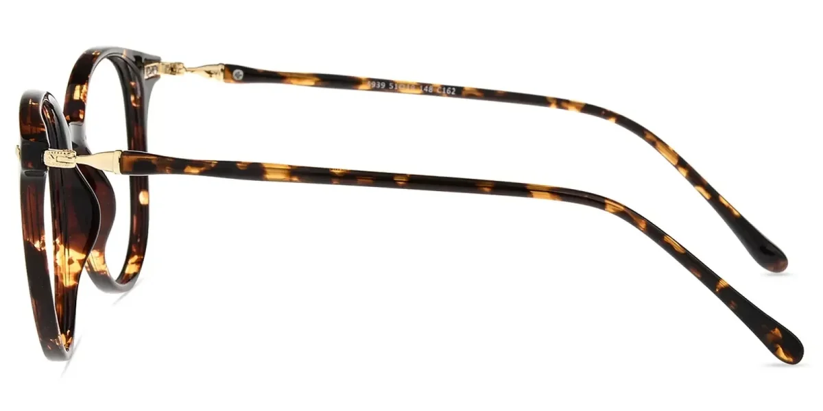 XY8028 Tortoise Glasses 2